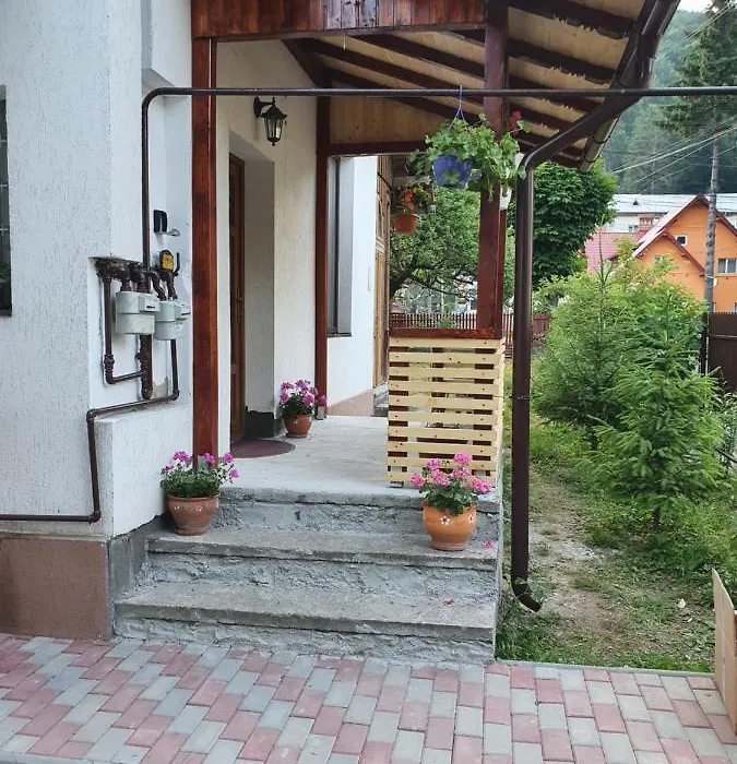 Holiday House Busteni-1