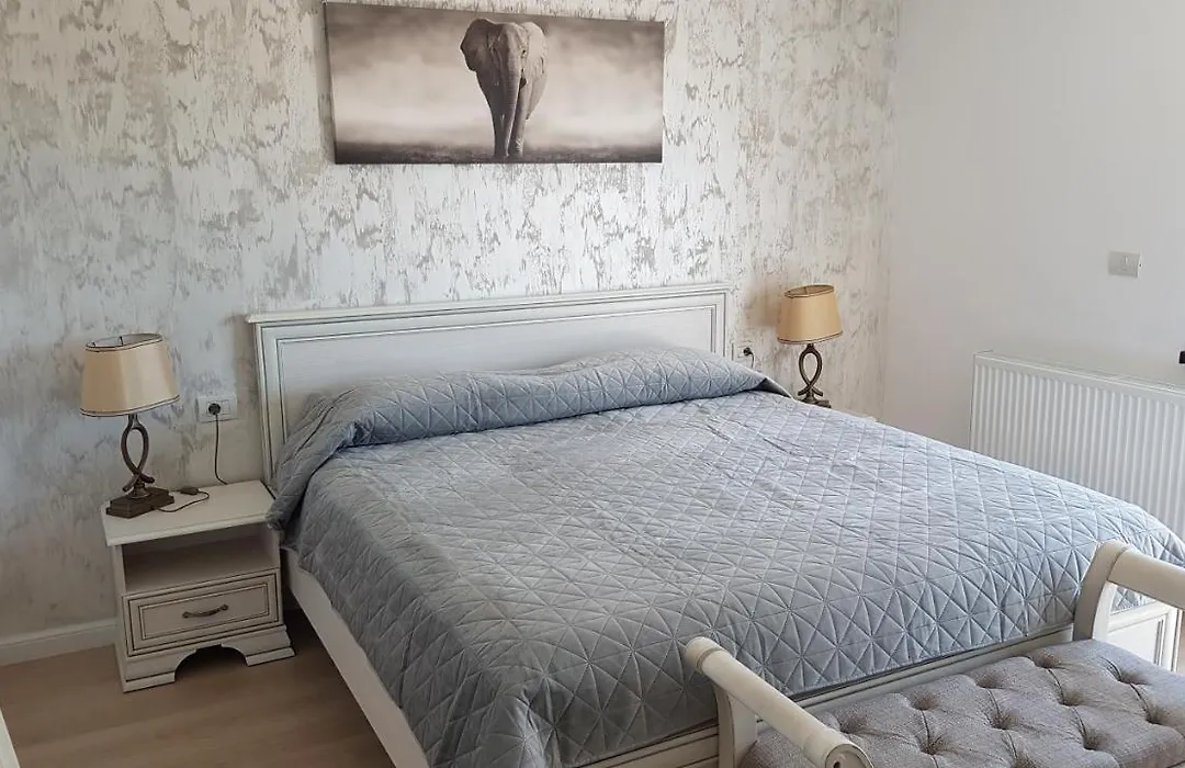 Casa Magnolia-1
