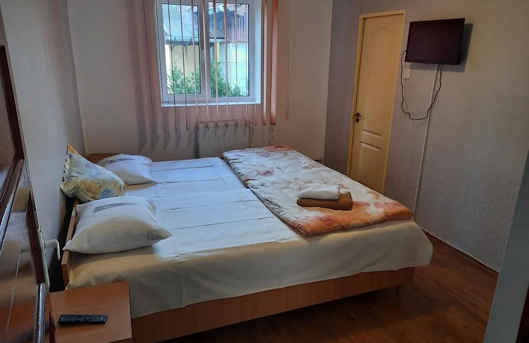 Vila Danlavi Busteni-1