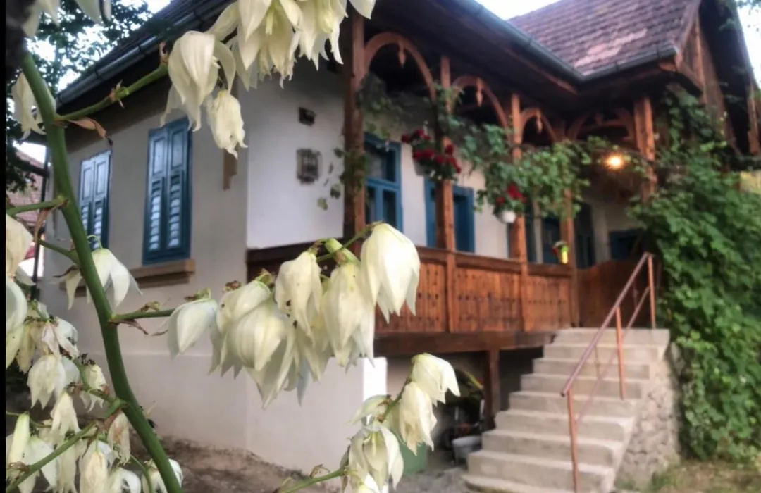 Rustic Vendeghaz-1