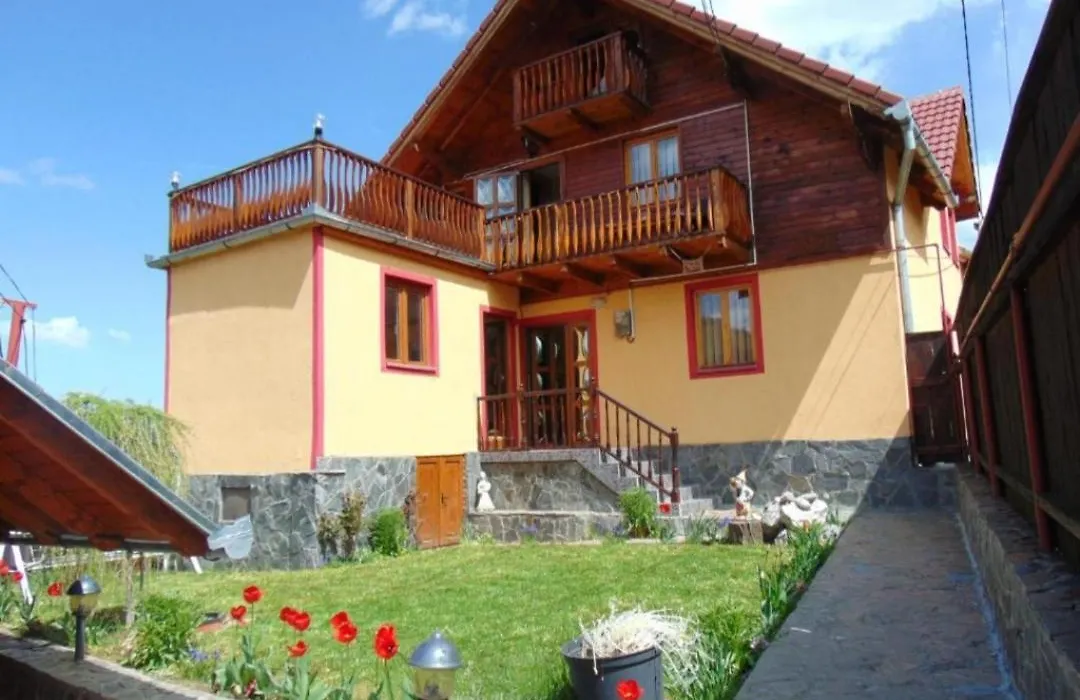 Pensiunea Miruna-1