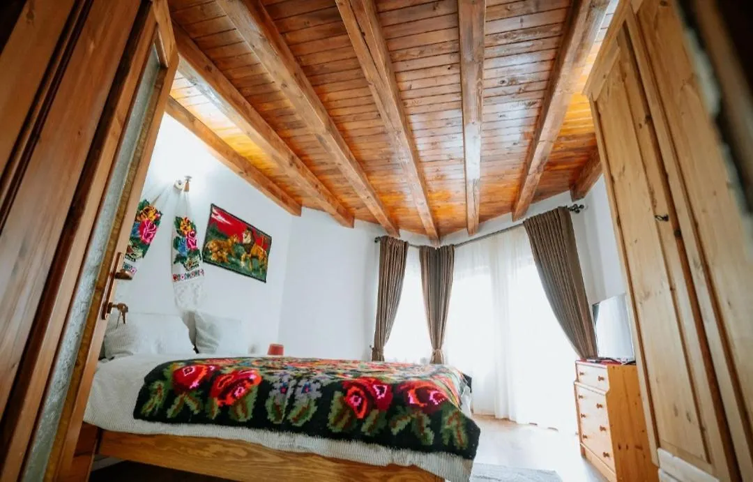 Casa Daviden-1