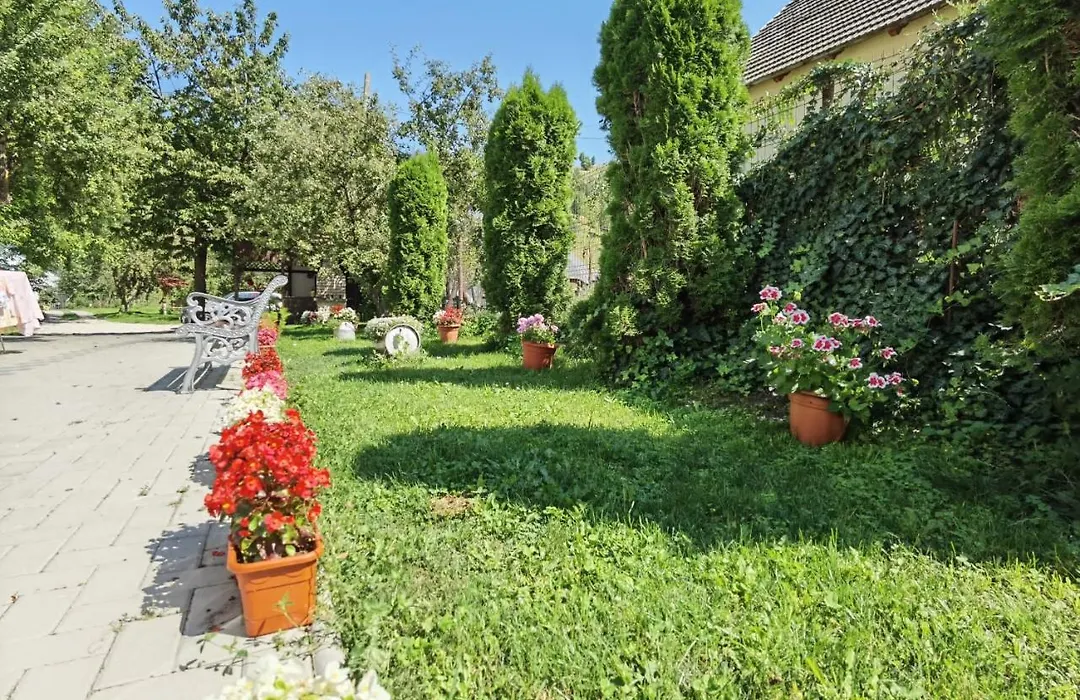 Casa Girbacea-1