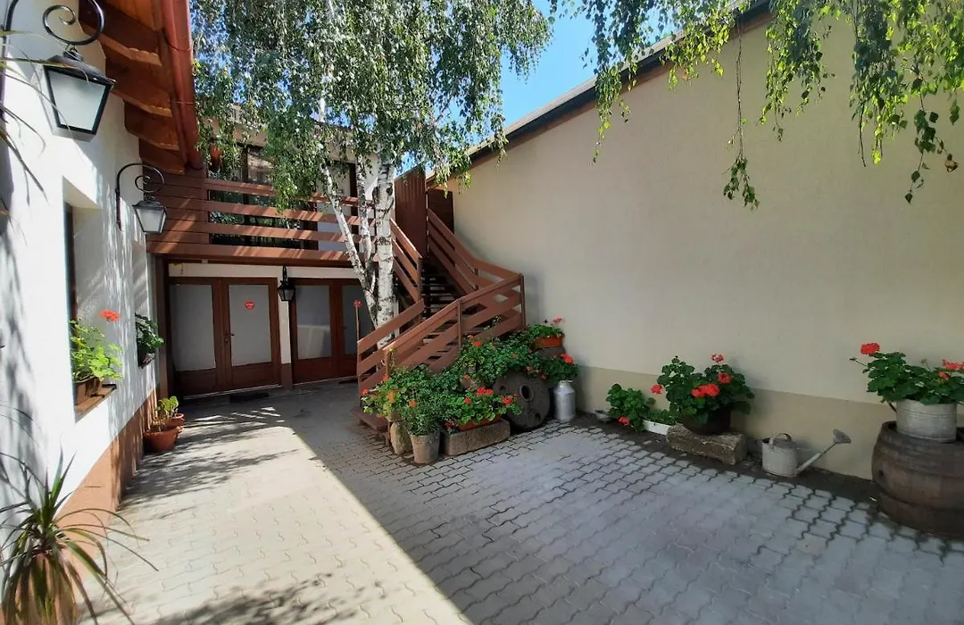 Korona Panzio-1