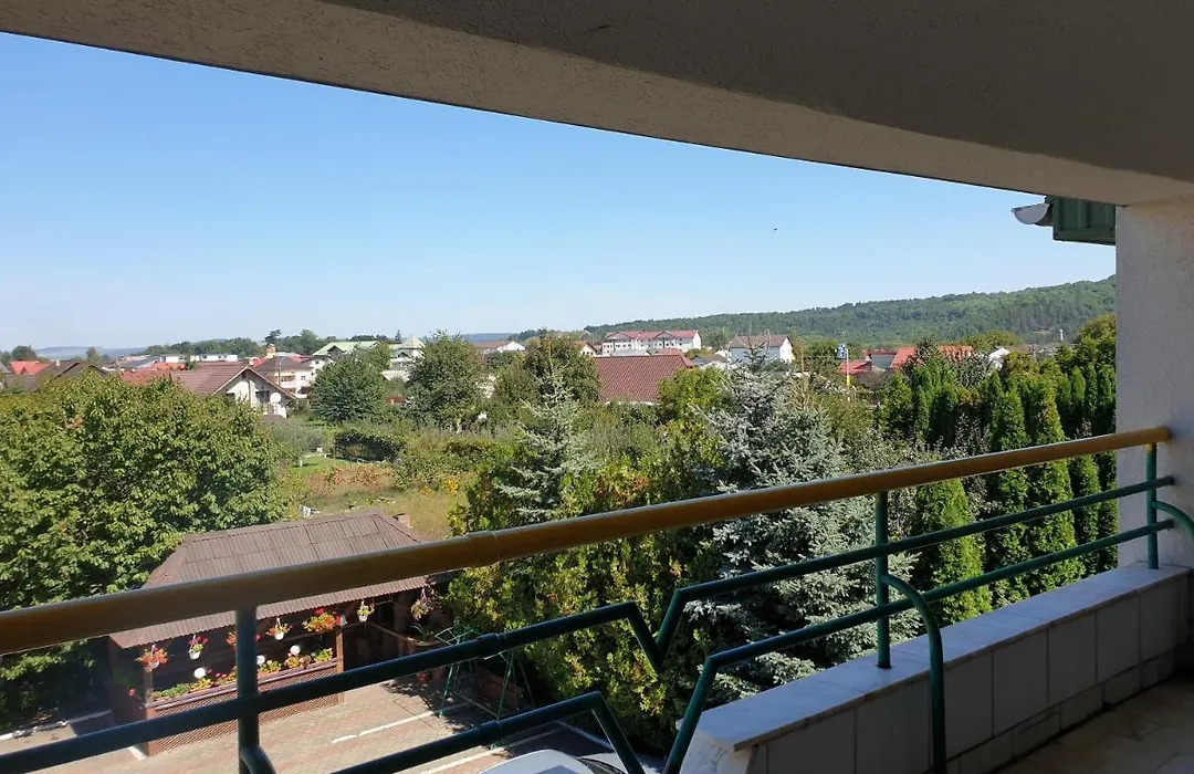 Pensiunea Confort-1