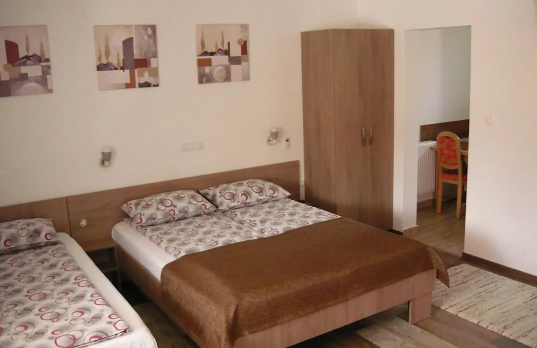 Casa De Oaspeti Liviu-1