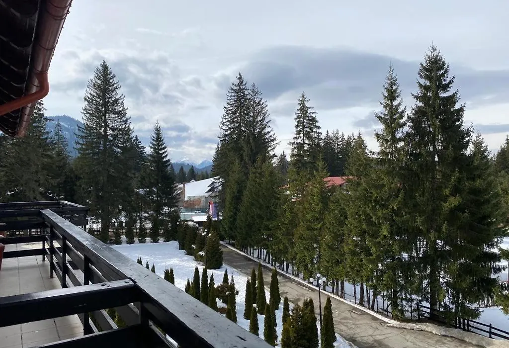 Hotel Miraj - Restaurant & Sauna & Biliard-1