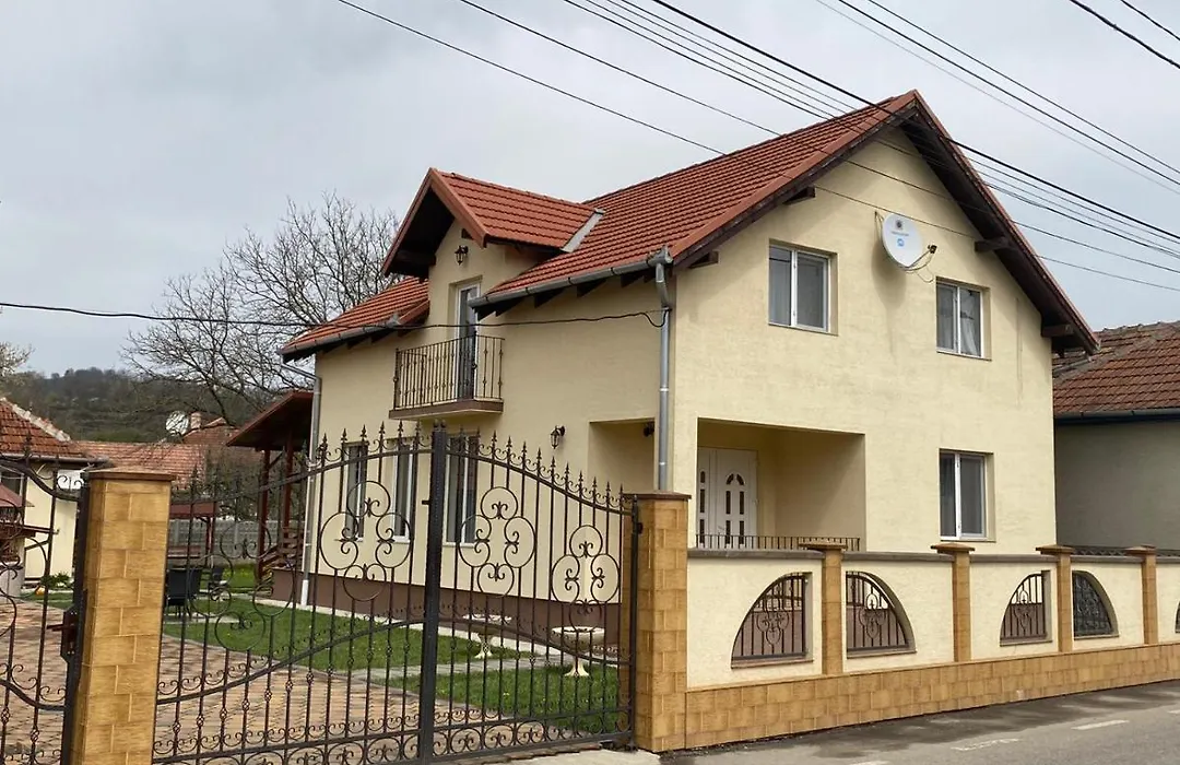 Casa Neluta-1