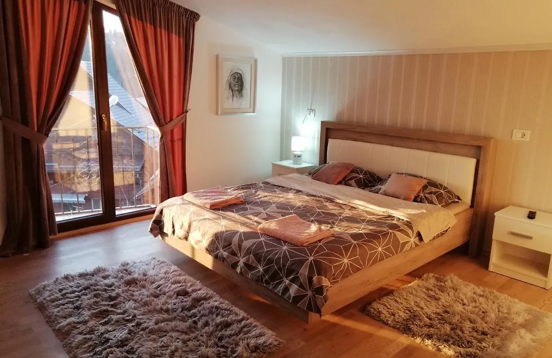 Pensiunea Timiș-1