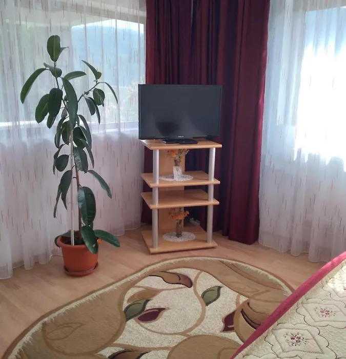 Vila Bogdan-1