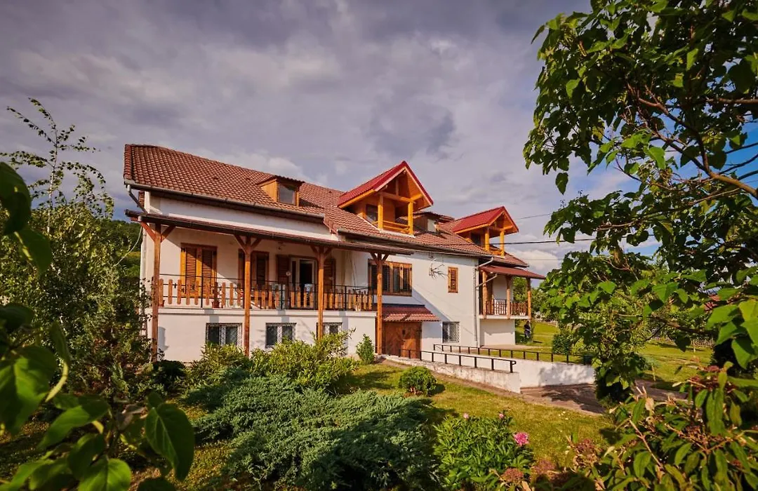Vila Ţara Haţegului-1