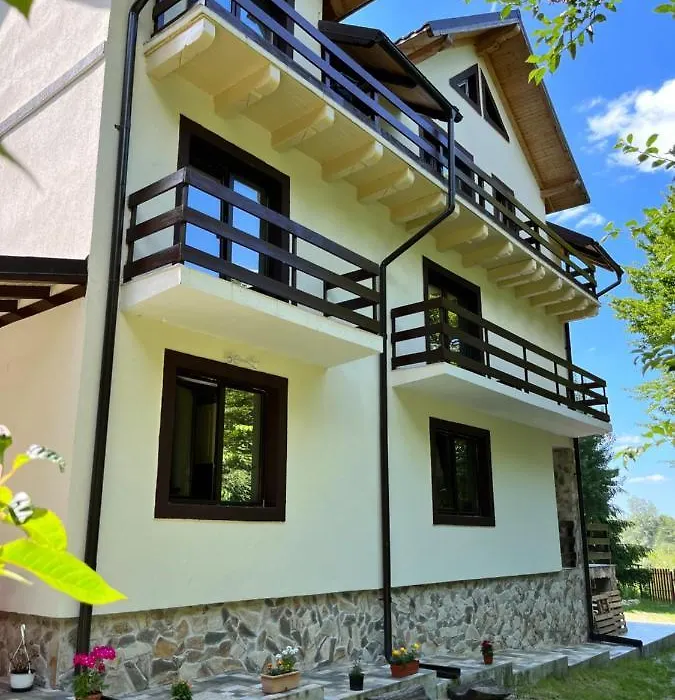 Cabana din Pădure-1
