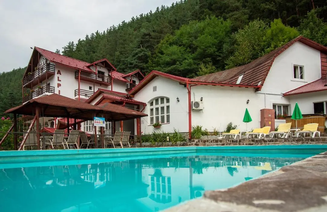 Pensiunea Alpin-1