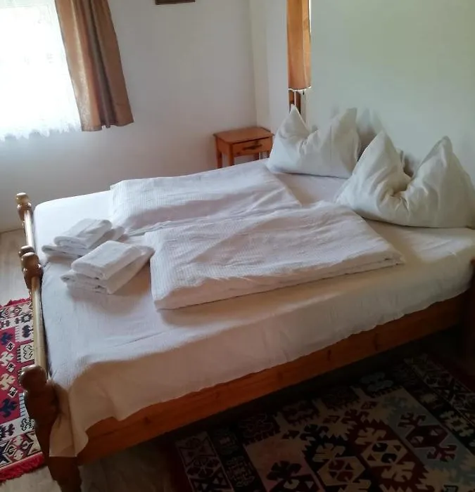 Vila Ovi Hotel-1