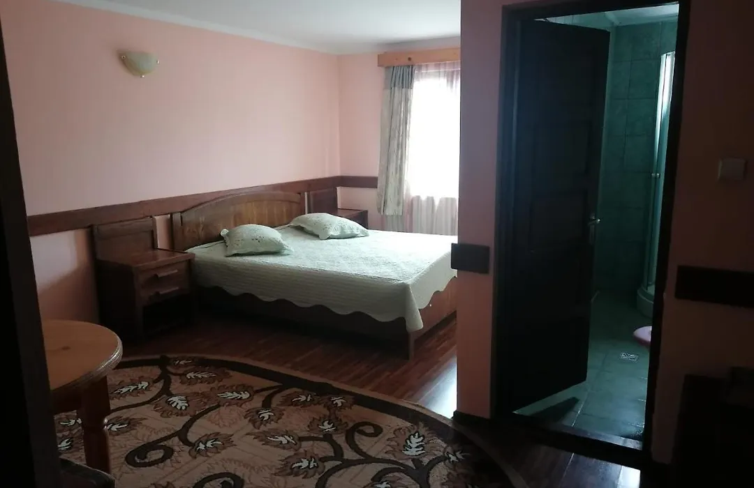 Pensiunea Fagaras-1