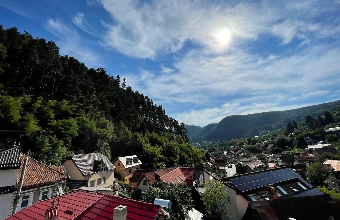 Quiet house Brasov-1