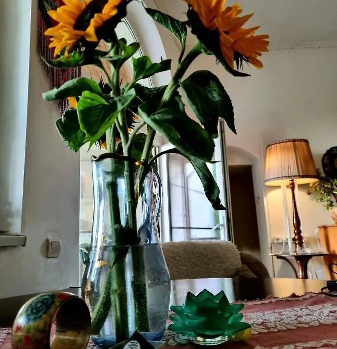 El Sol-1