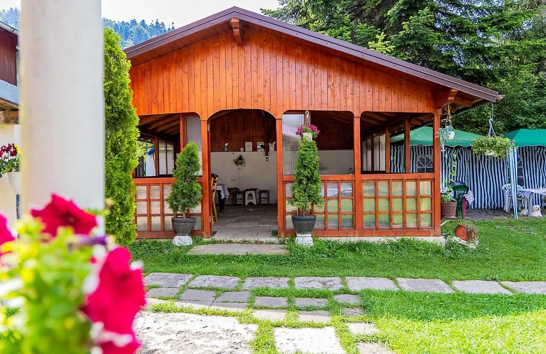 Pensiunea Montan Busteni-1