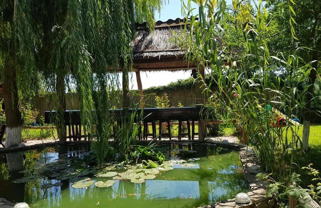 Pensiunea Iubire de Delta La Traian-1