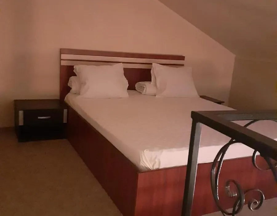 Hotel Lexus - Fost Cosmin-1
