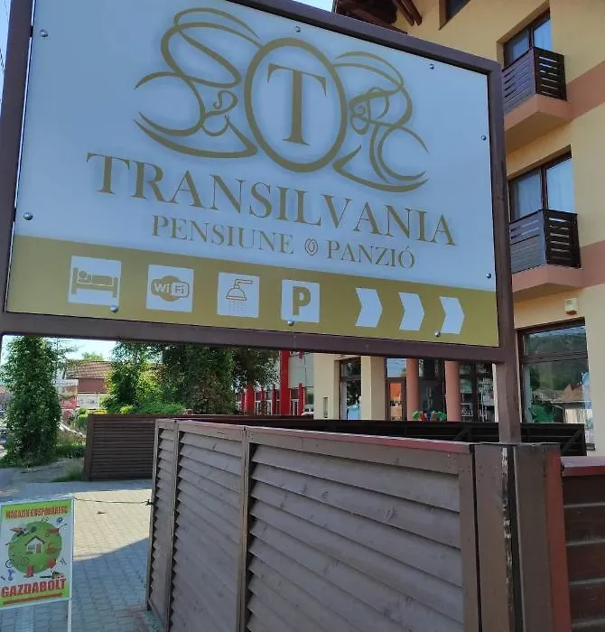 Pensiunea Transilvania-1