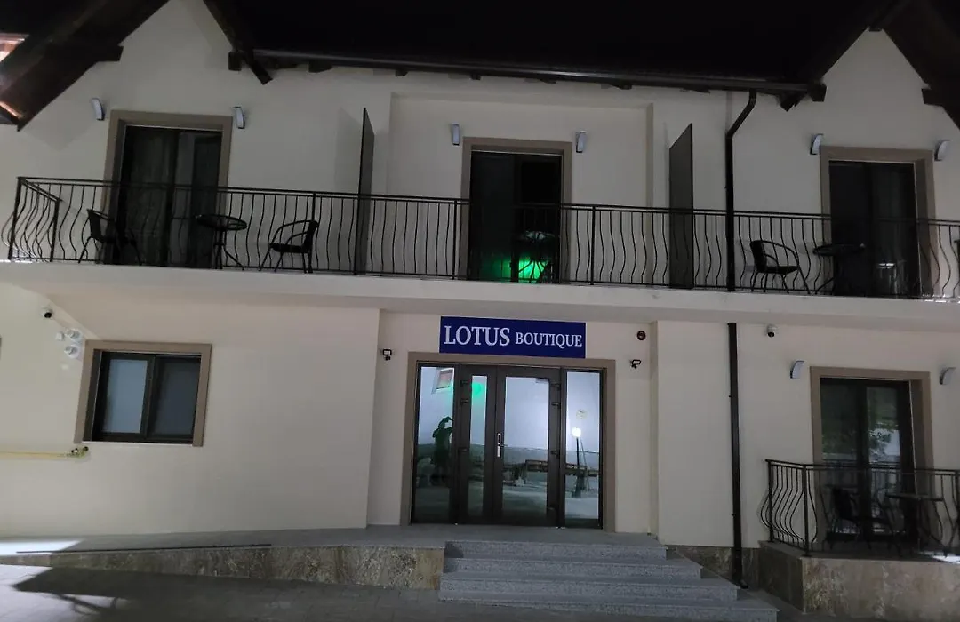 Lotus Boutique-1