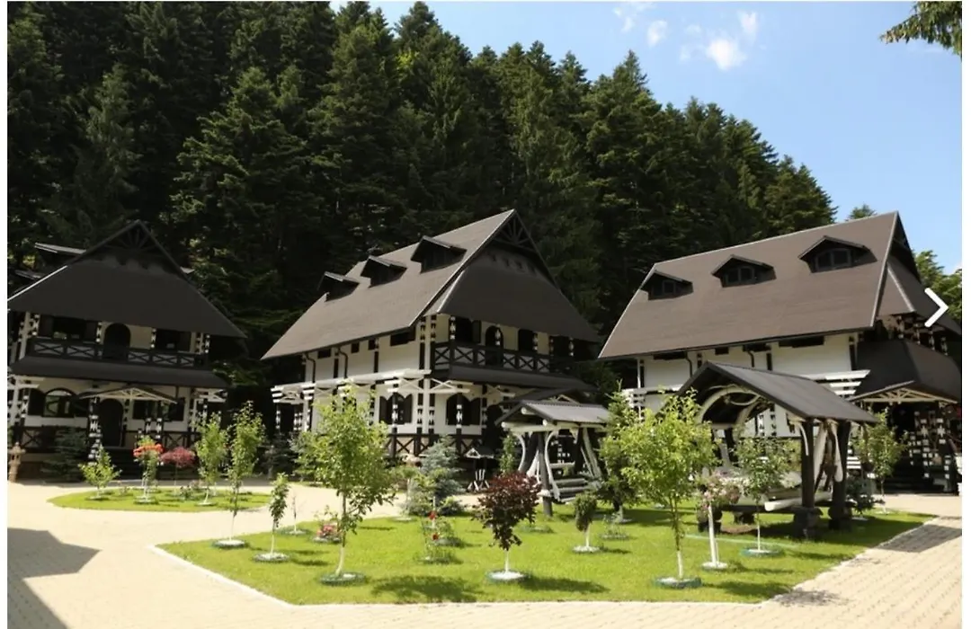 Complex Lions Bucovina-1