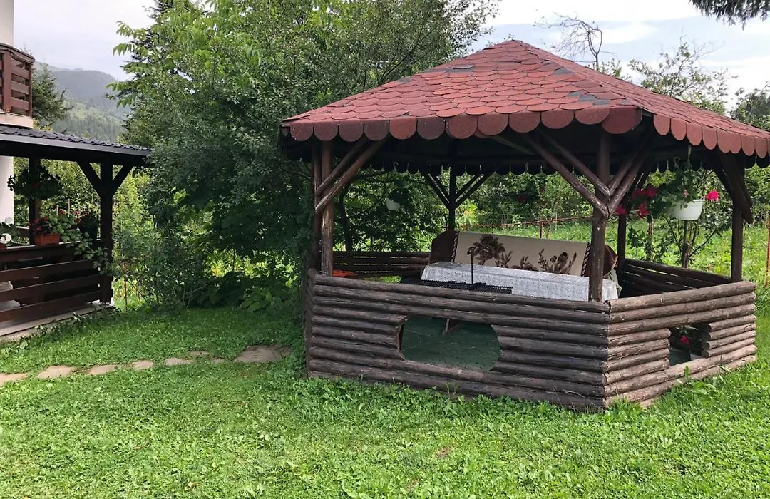 Casa Viorica-1