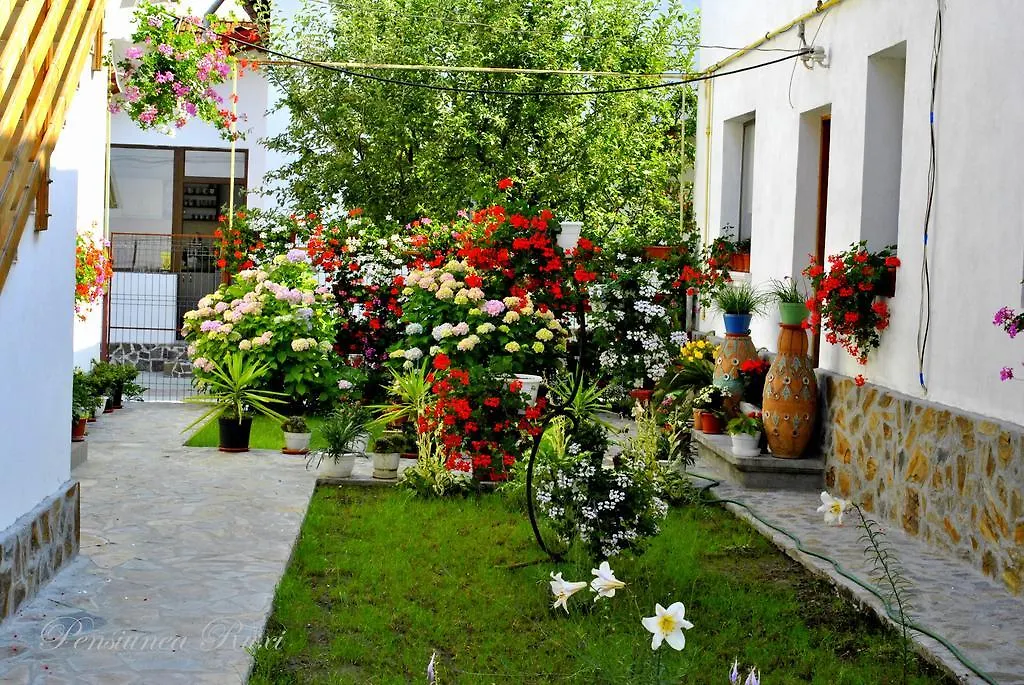 Pensiunea Ruxi-1