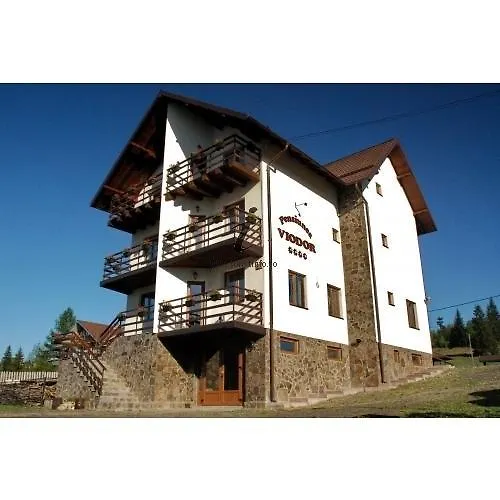 Pensiunea Viodor-1