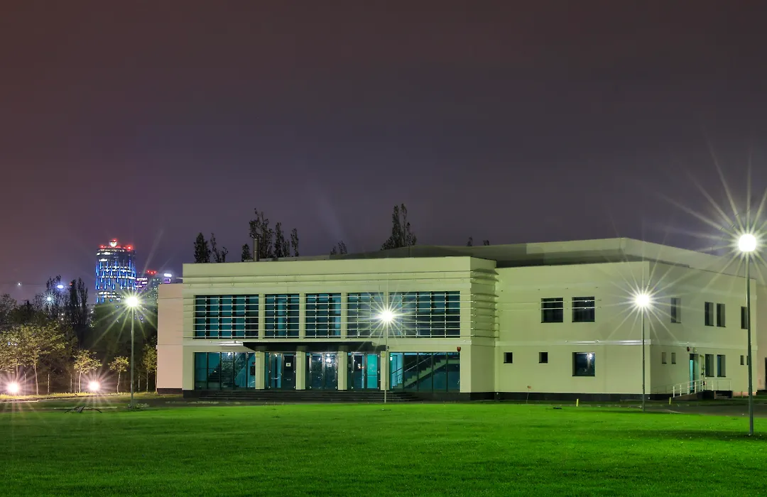 Complex Silva-1