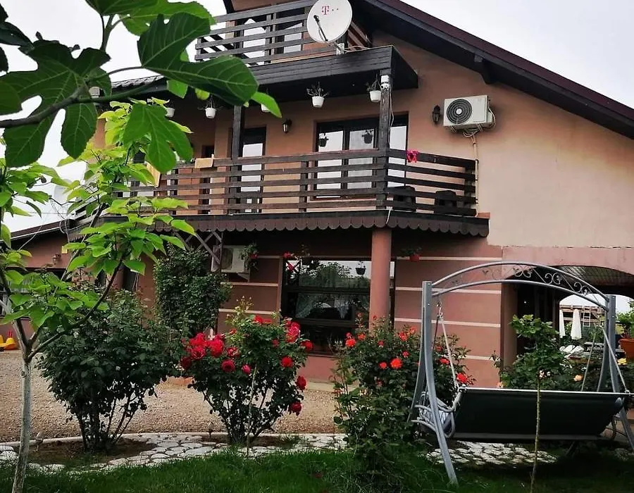 Casa Iris Murighiol-1