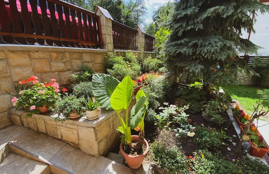 Casa Cu Vitralii-1