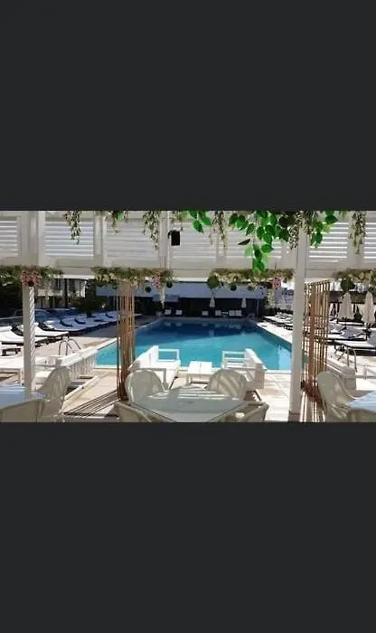Zig Zag-1