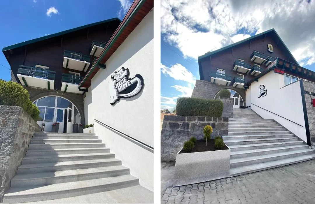 Vila Ursul Negru-1