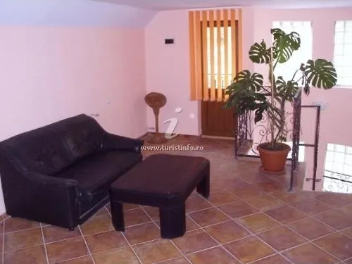 Pensiunea De Vis-1