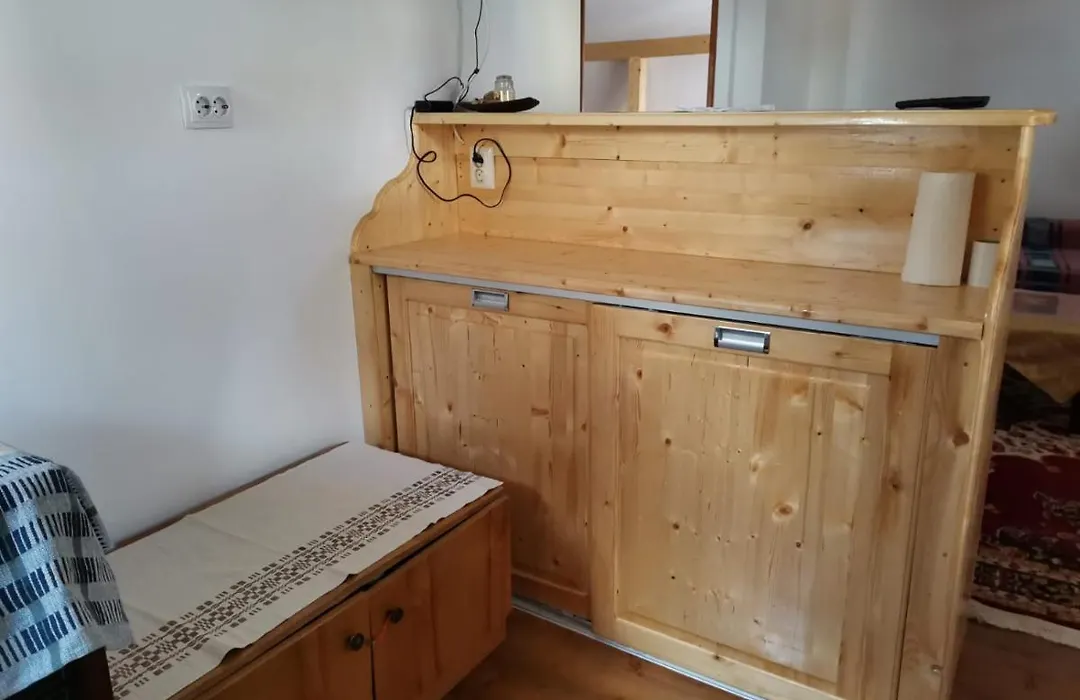 Casa Crisandri Busteni-1