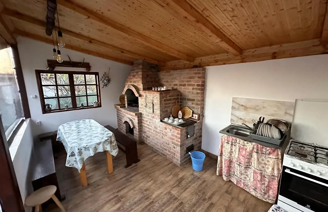 Casa de vacanta Mirela-1