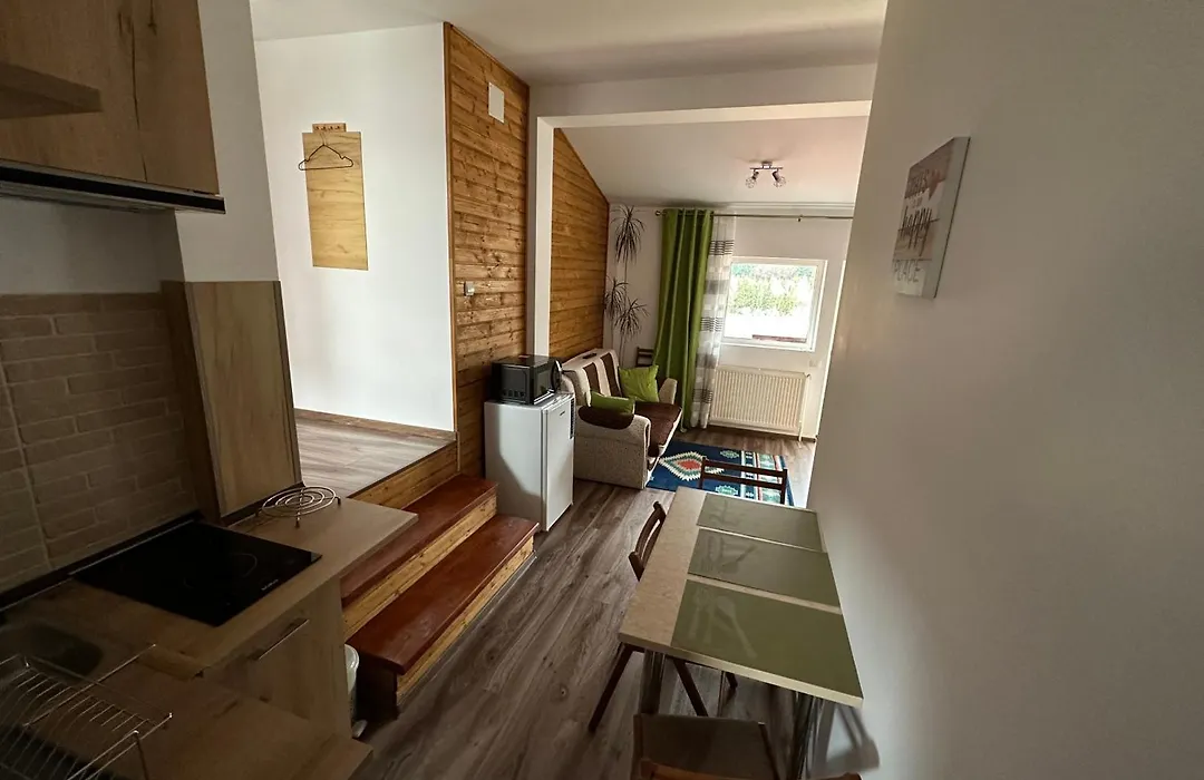 Casa Rares Busteni-1