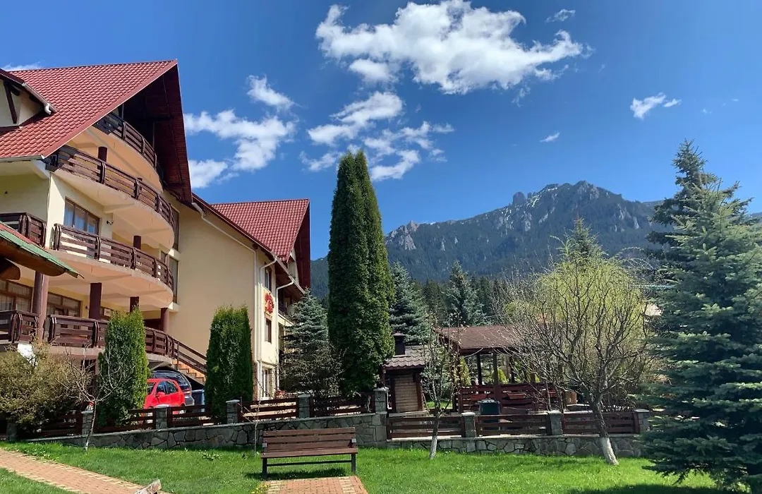 Pensiunea Alpin Durau-1