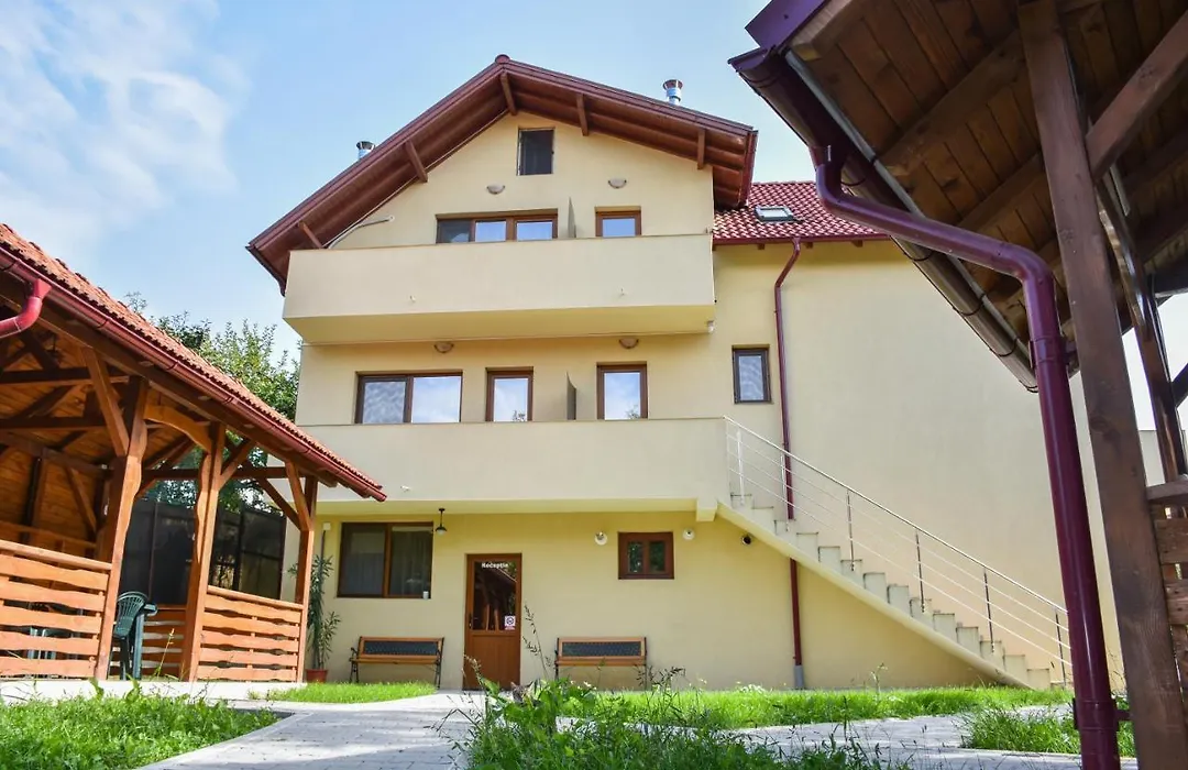 Tomis House-1