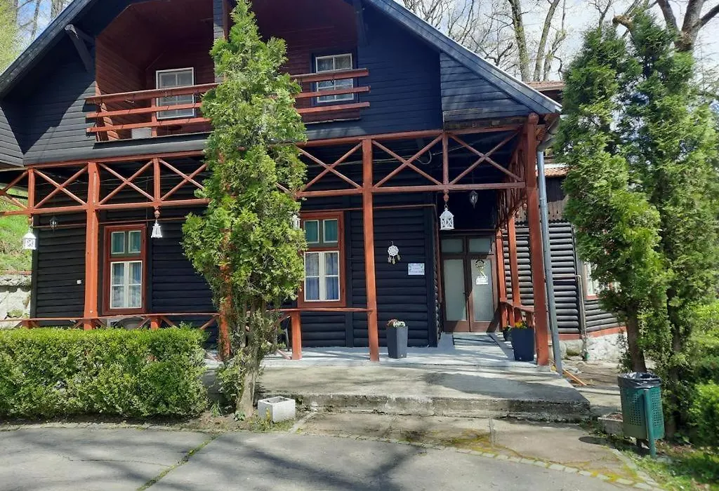 Vila Viorica-1