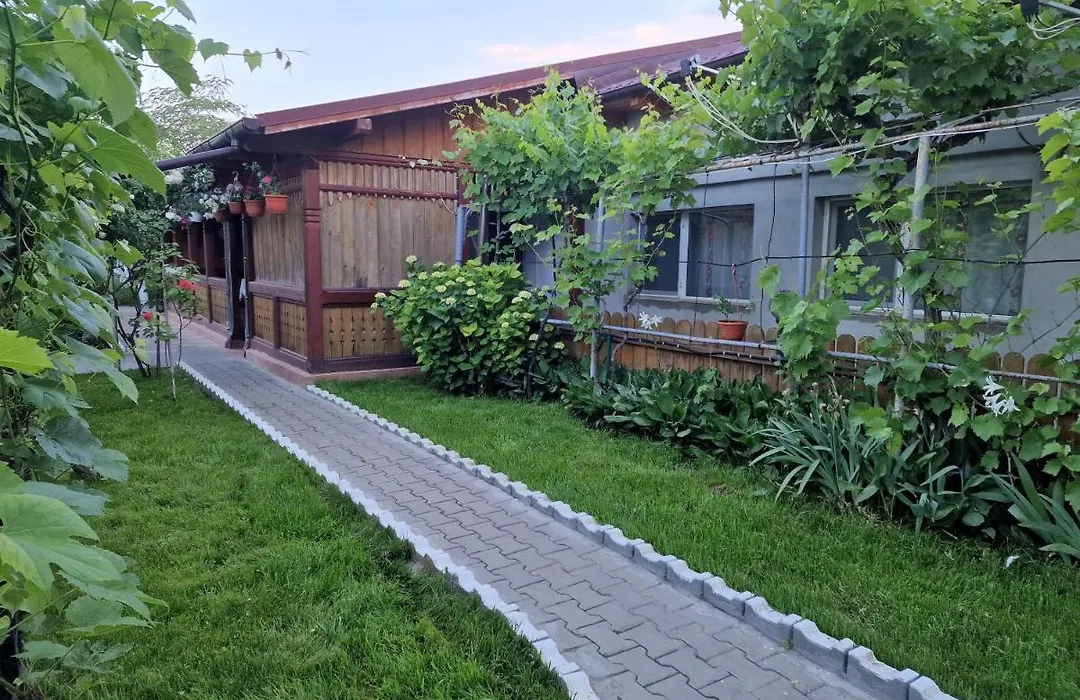 Casa Delia-1