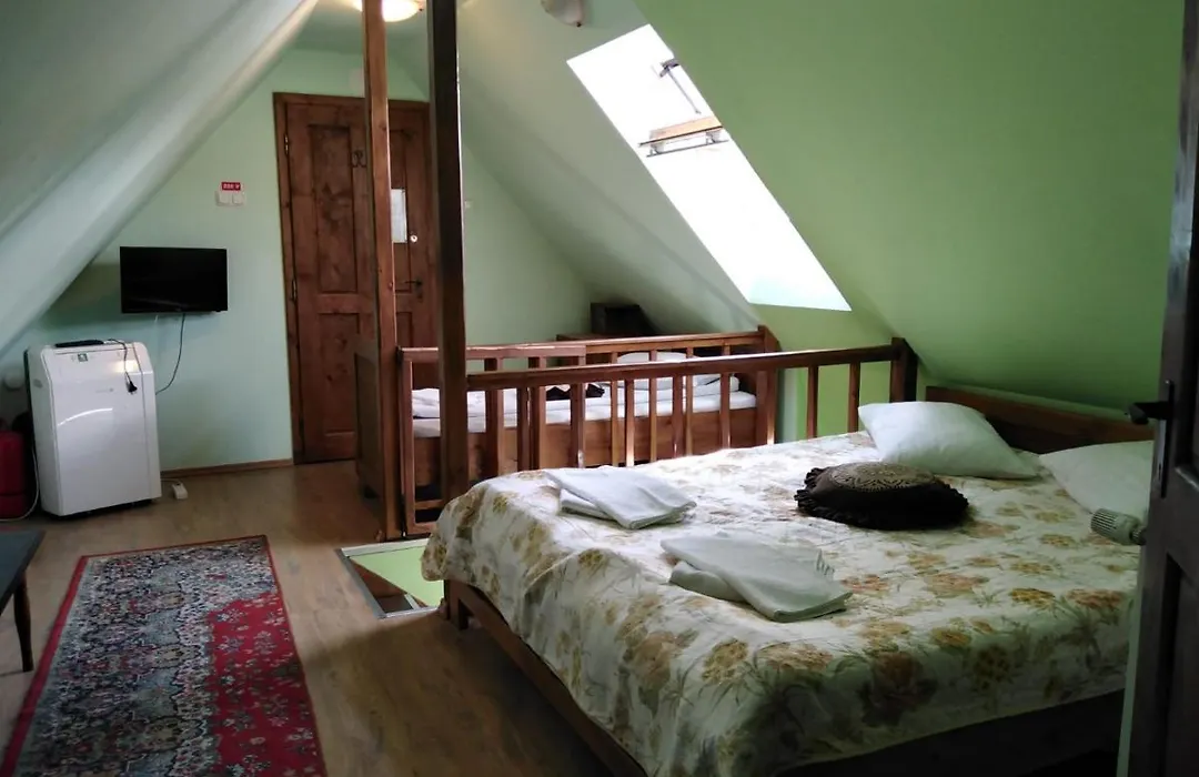 Pensiunea Lelila Inn-1