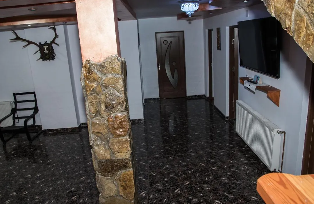 Casa Viorica și Luis-1