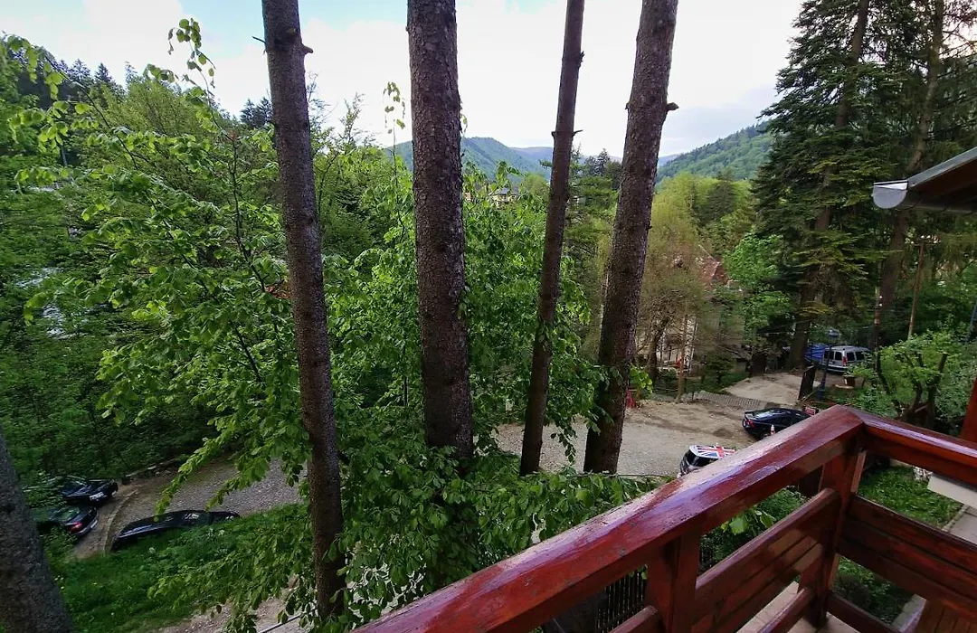 Casa Sion Sinaia-1