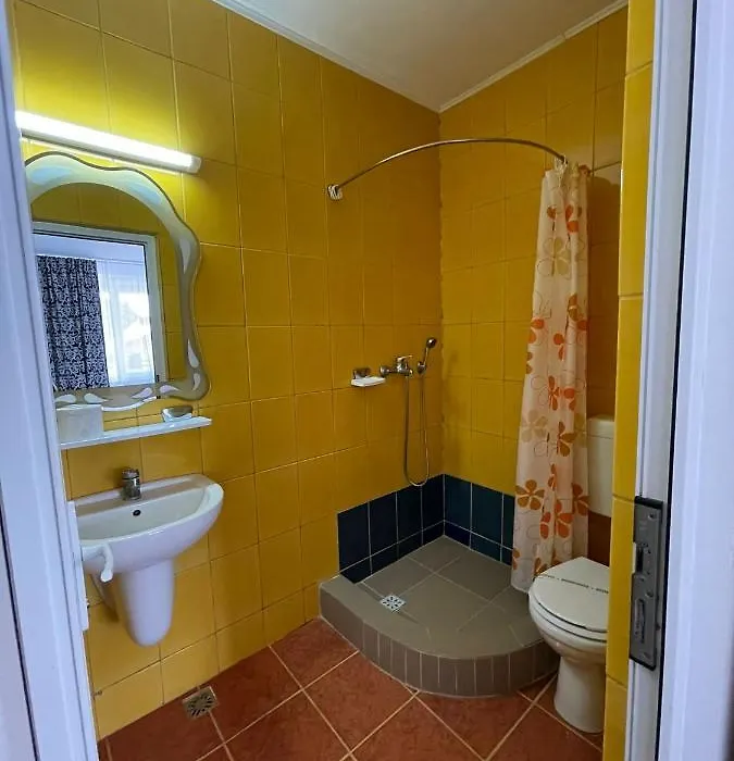 Vila Mirela-1