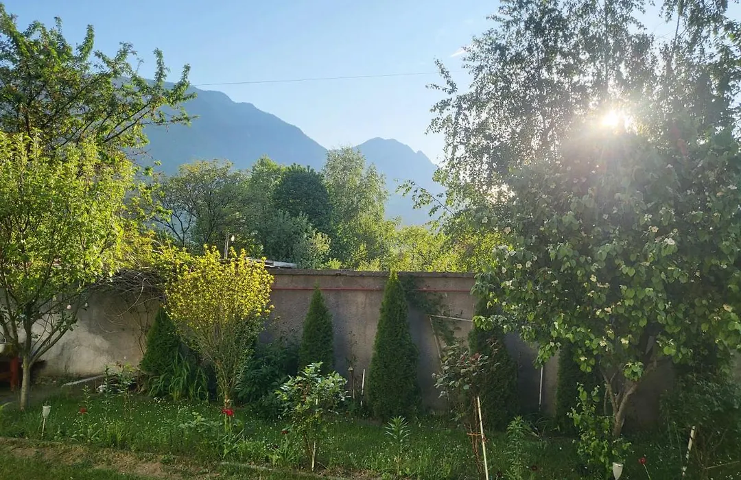 Casa Miorita-1