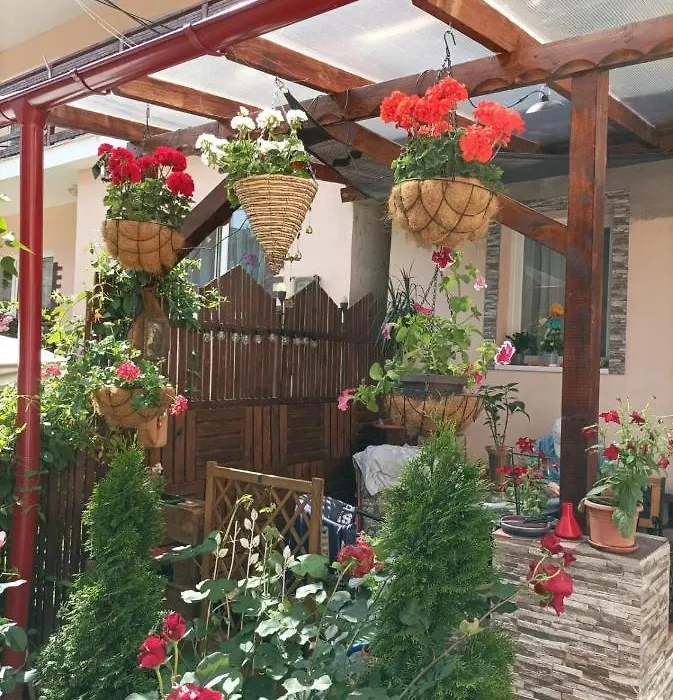 Casa Puiu-1