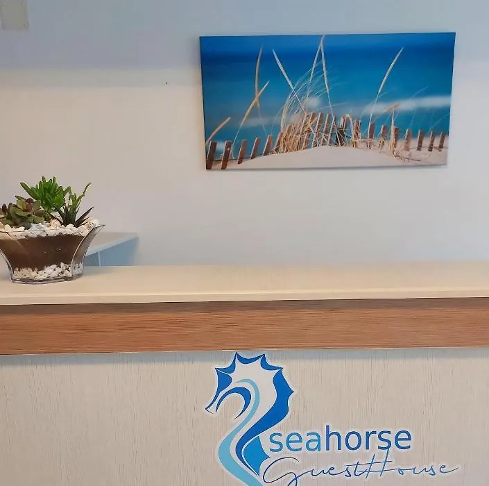 Seahorse Guesthouse-1